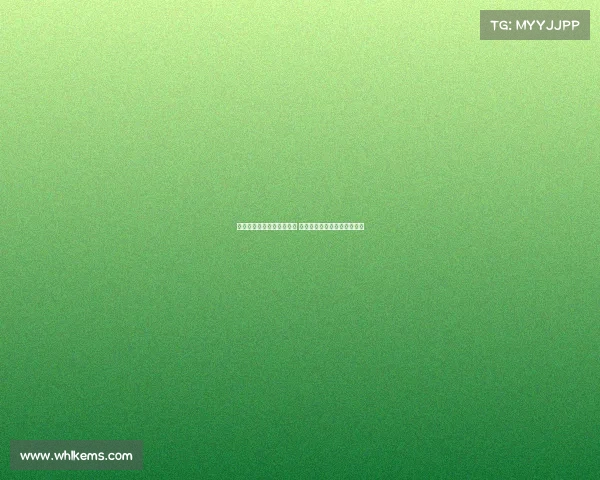 欧洲杯土耳其轻取爱沙尼亚 申京全能表现带队豪取四连胜