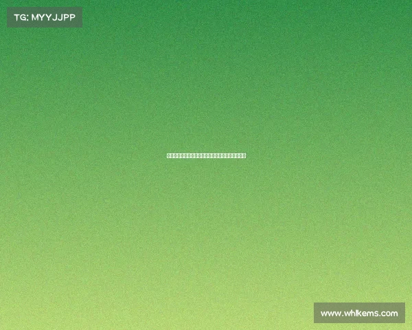 圣地亚哥破门施塔赫中楣米兰暂时领先利兹联上半场